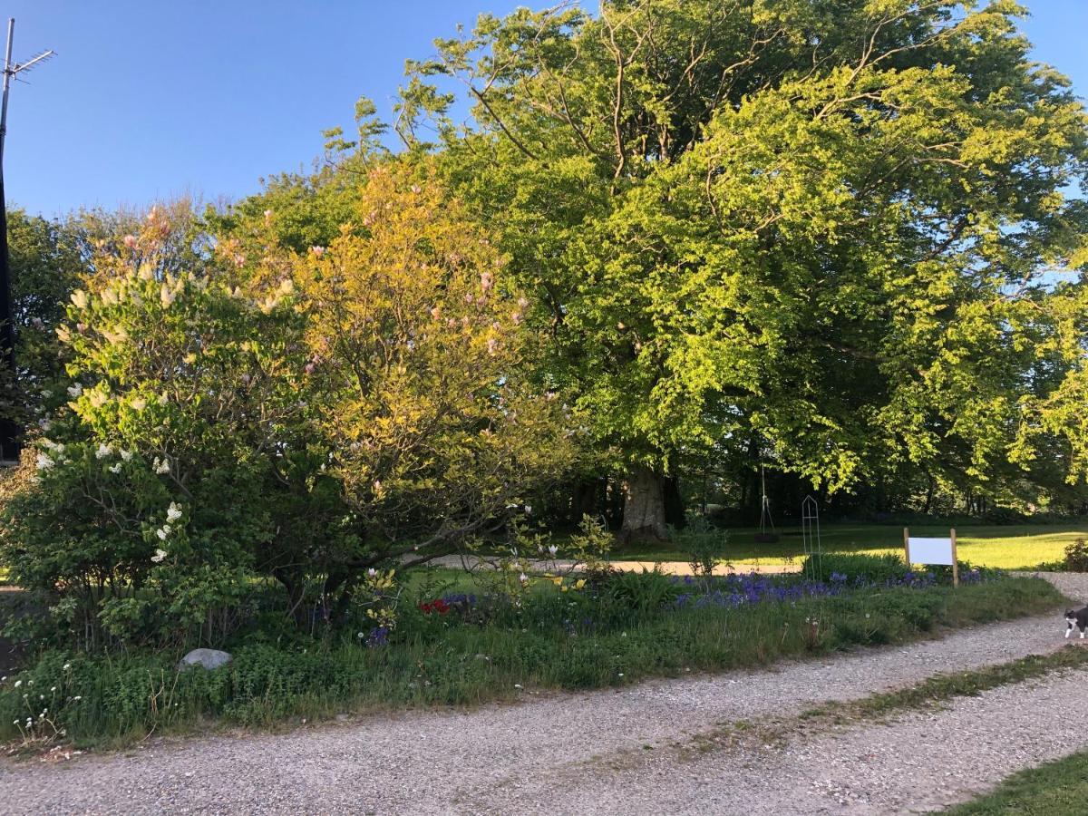 Landevejens B&B Holstebro Exteriör bild